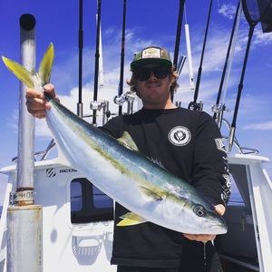 Meet your Posher, Pat